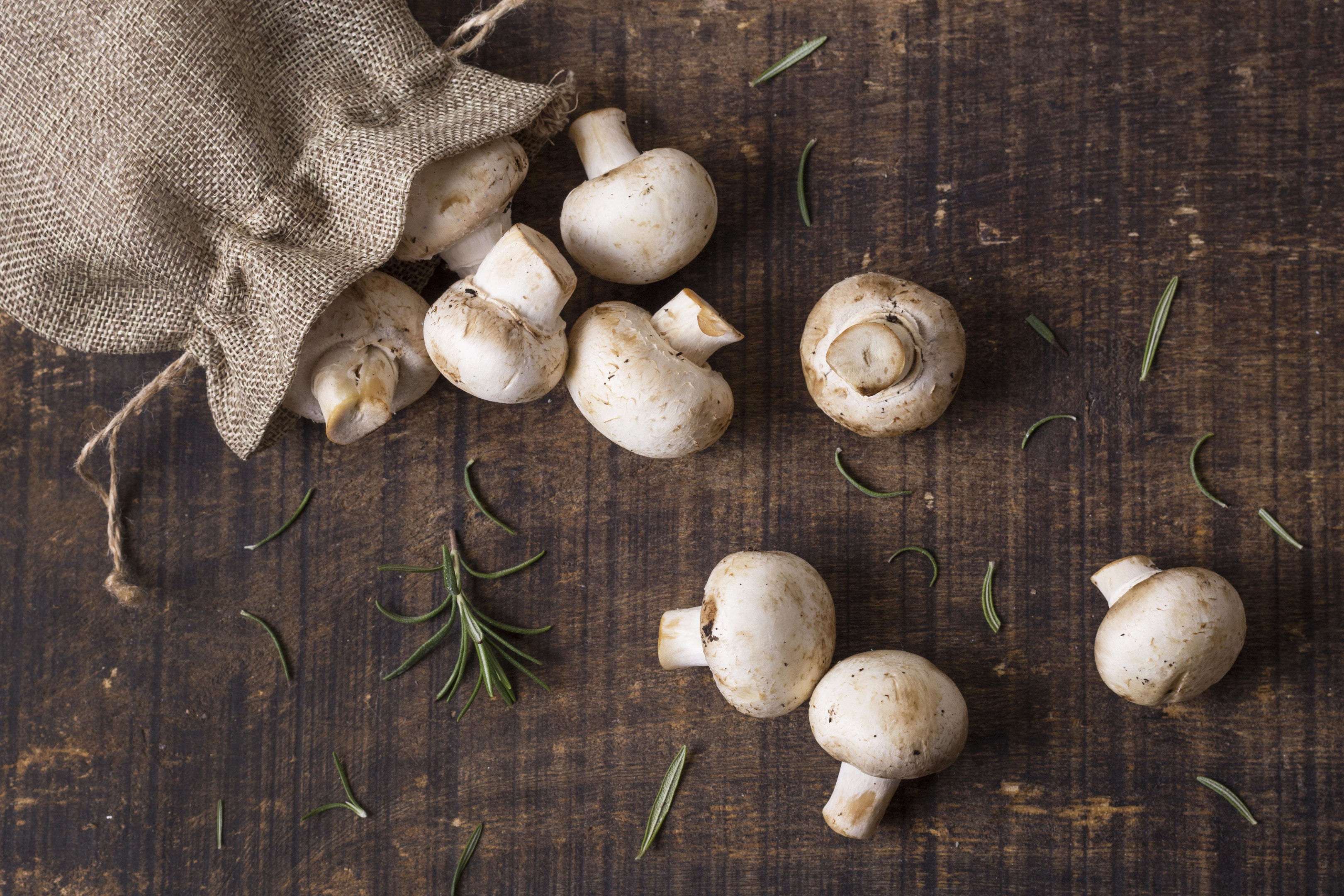 Fresh mushrooms sack arrangement