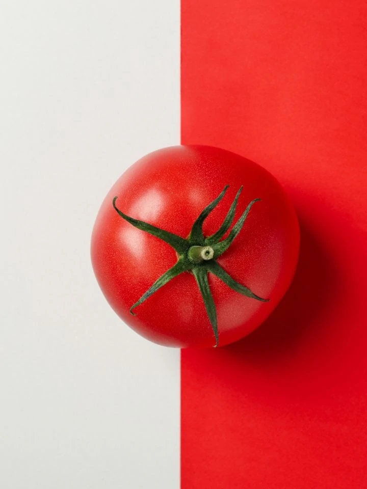 Fresh tomato on two tone background