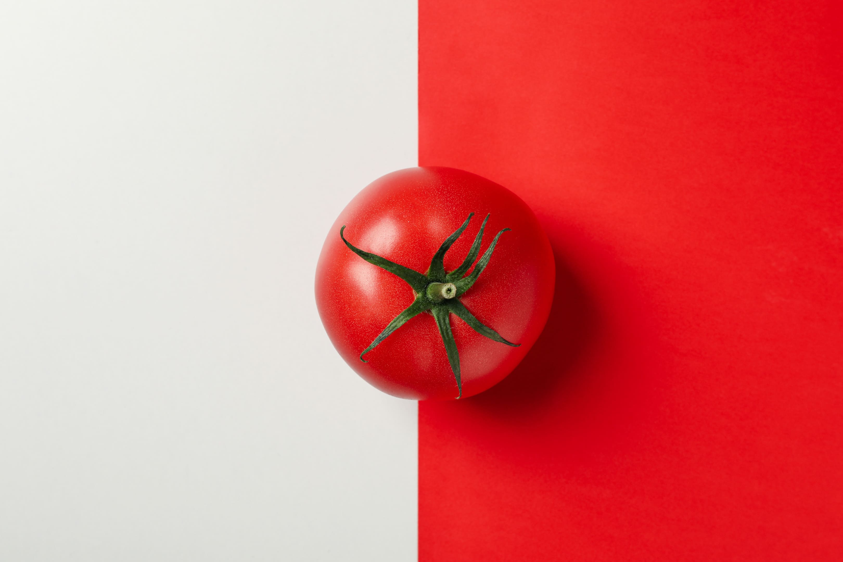 Fresh tomato on two tone background
