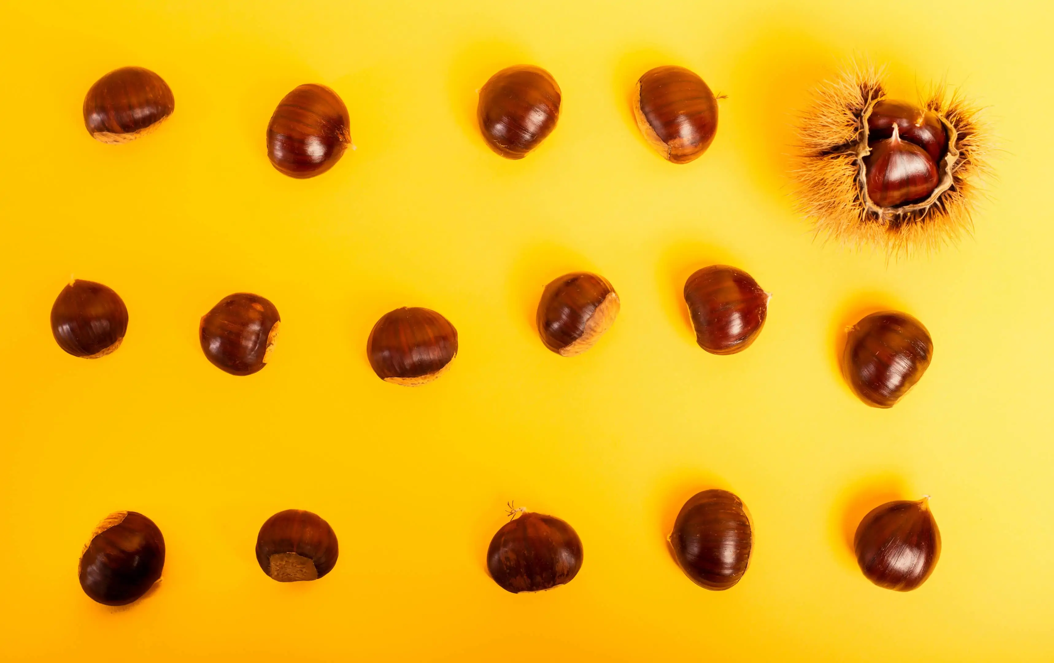 Chestnuts assortment on yellow background