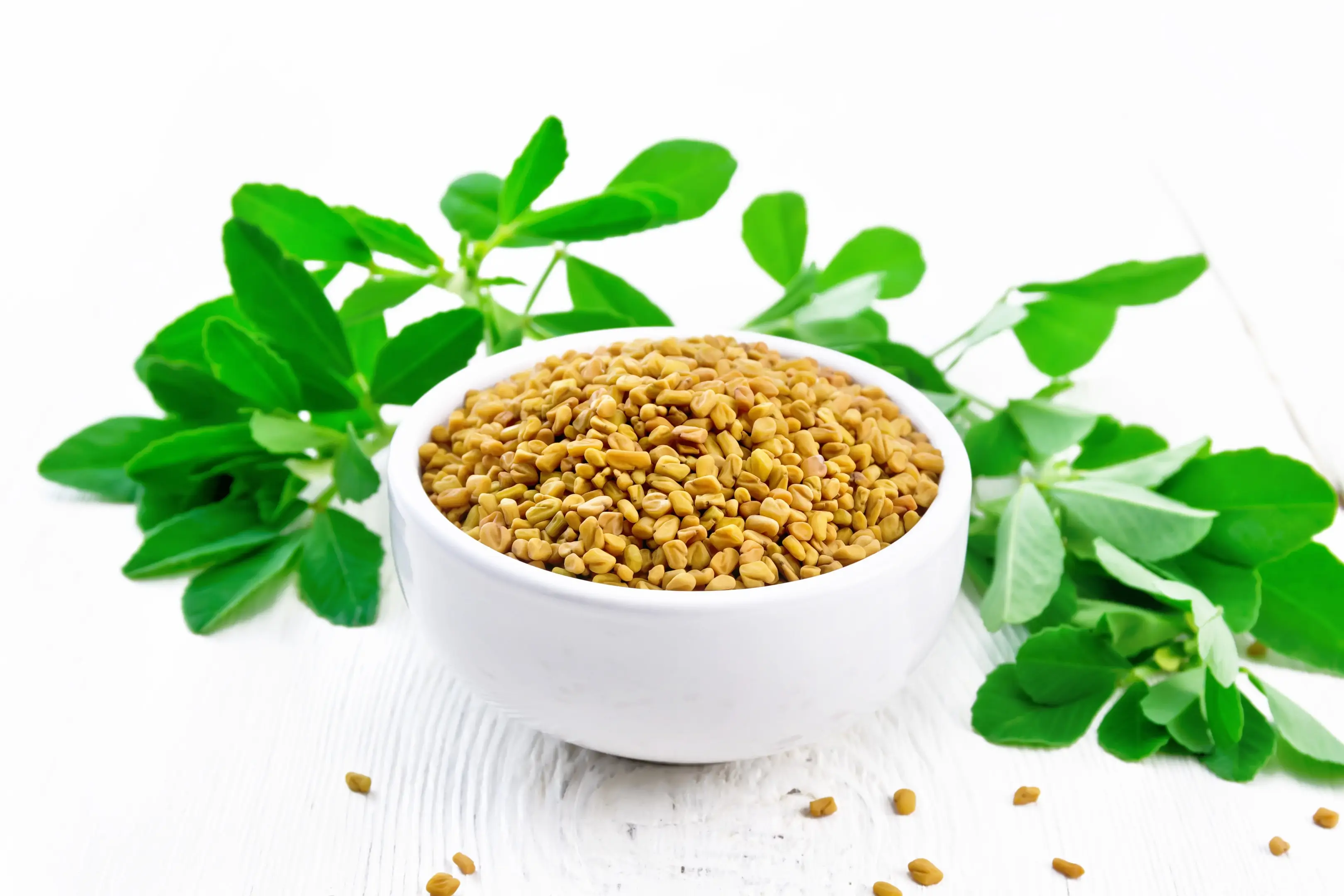 Fenugreek seeds with in a bowl with green leaves