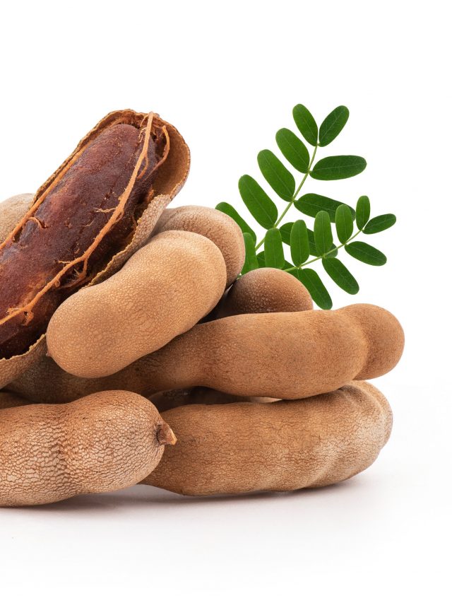 The Top 9 Hair Care Benefits of Tamarind - Blend of Bites