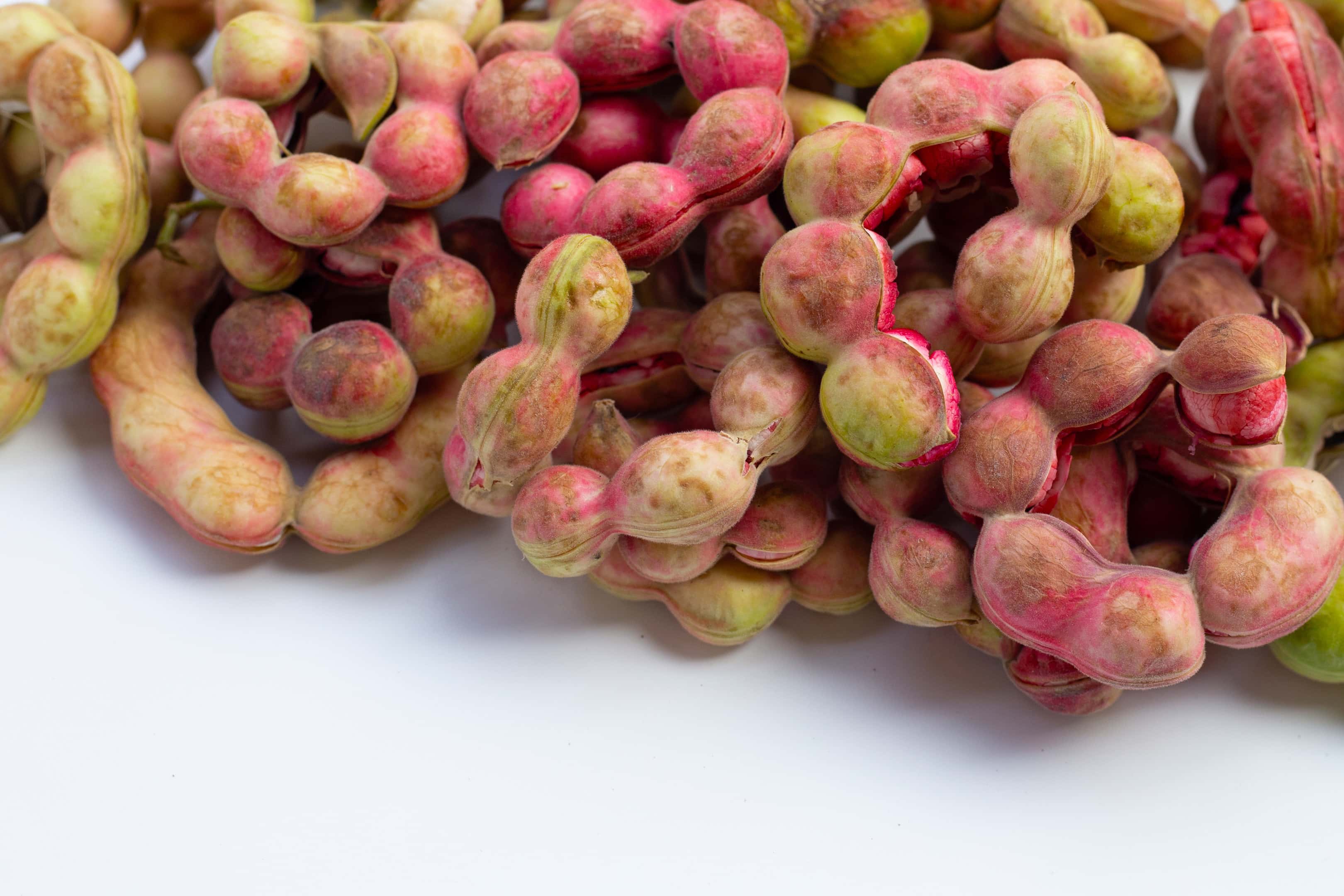 Seeni puliyanga — Manila tamarind fruit (pithecellobium dulce) on white surface