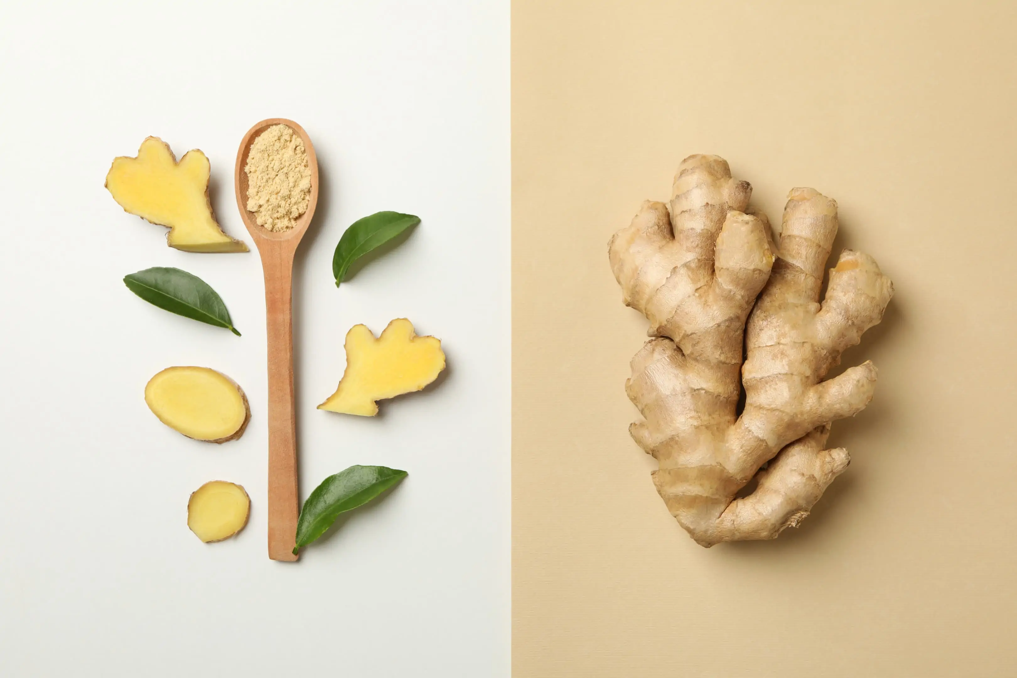 Sliced ginger and powder with a whole ginger root. Health benefit of ginger in different variations.