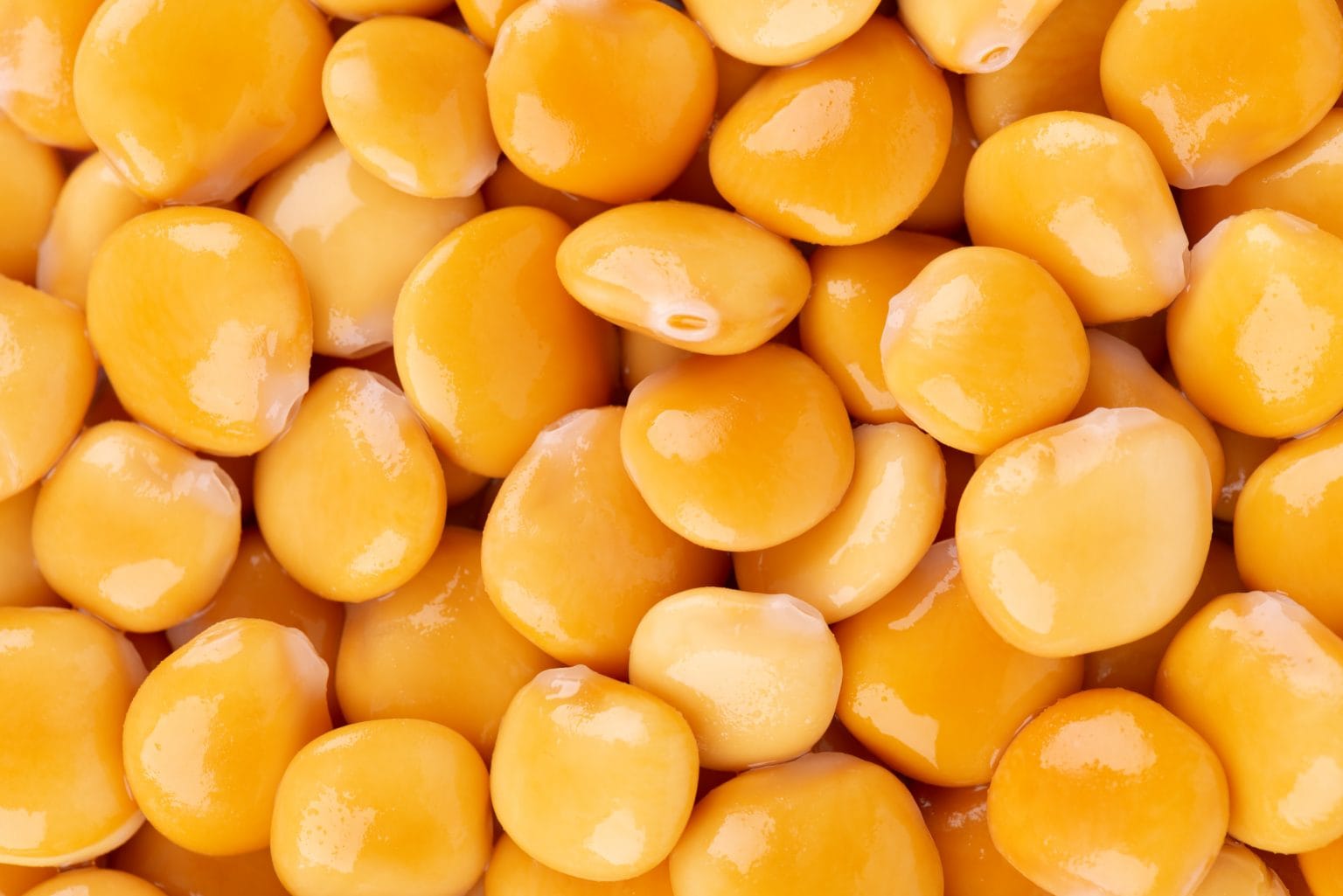 Discover the Booming Benefits of Lupini Beans for Your Hair Blend of