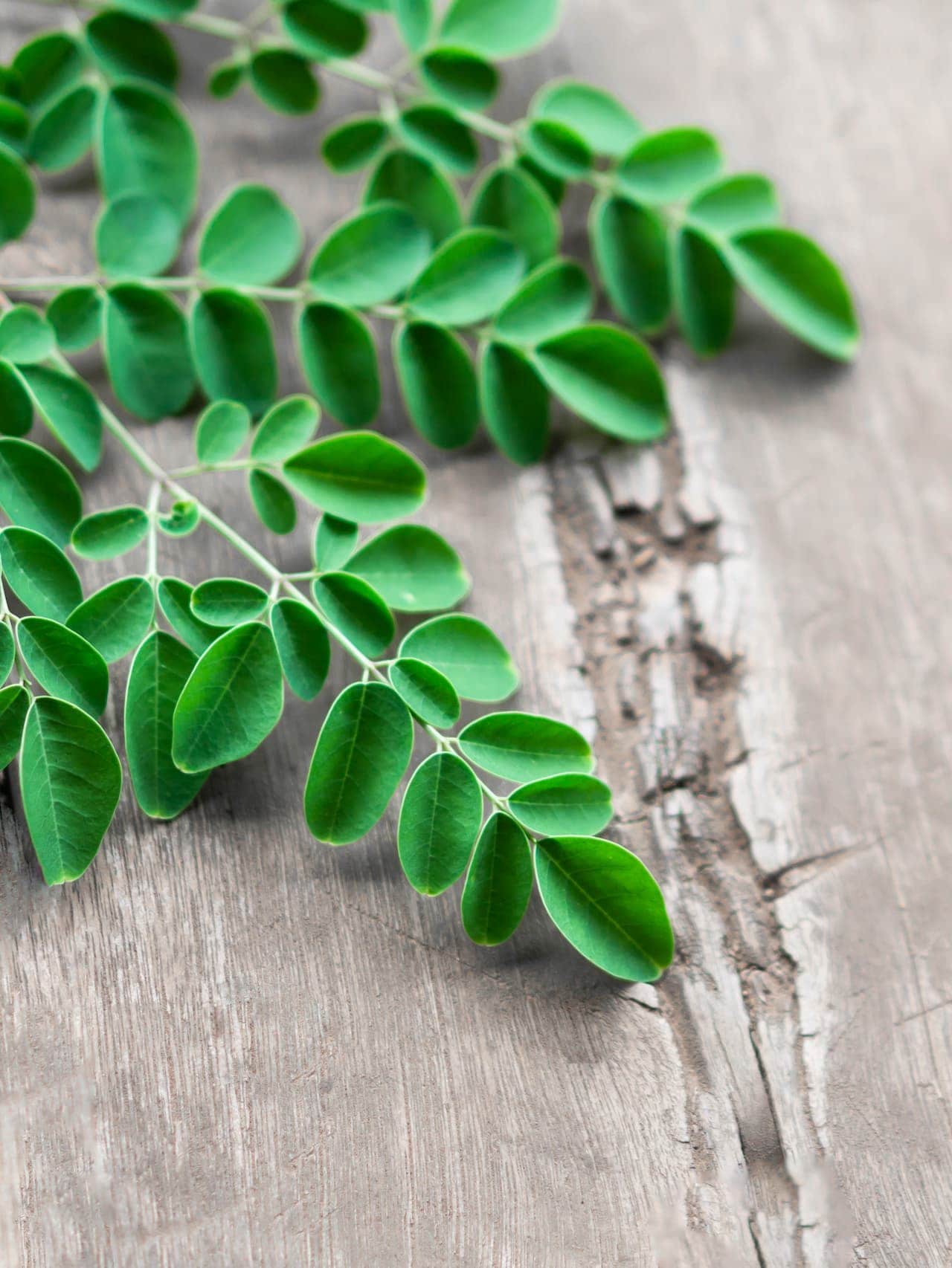 The Magical Benefits of Moringa for Your Hair
