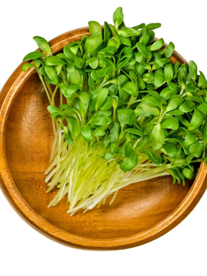 Fenugreek microgreens in a wooden bowl
