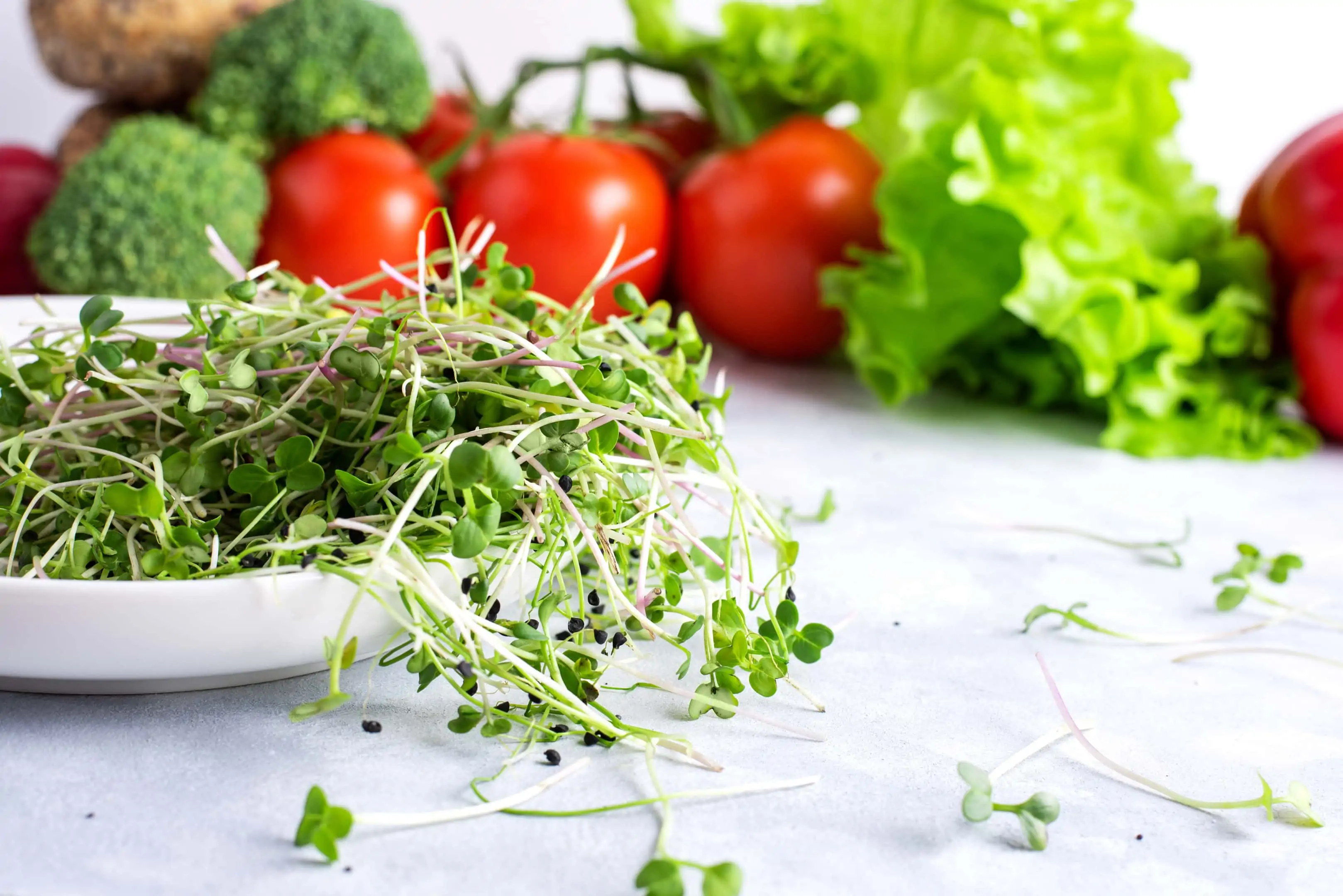 Fenugreek microgreens with vegetables assortment