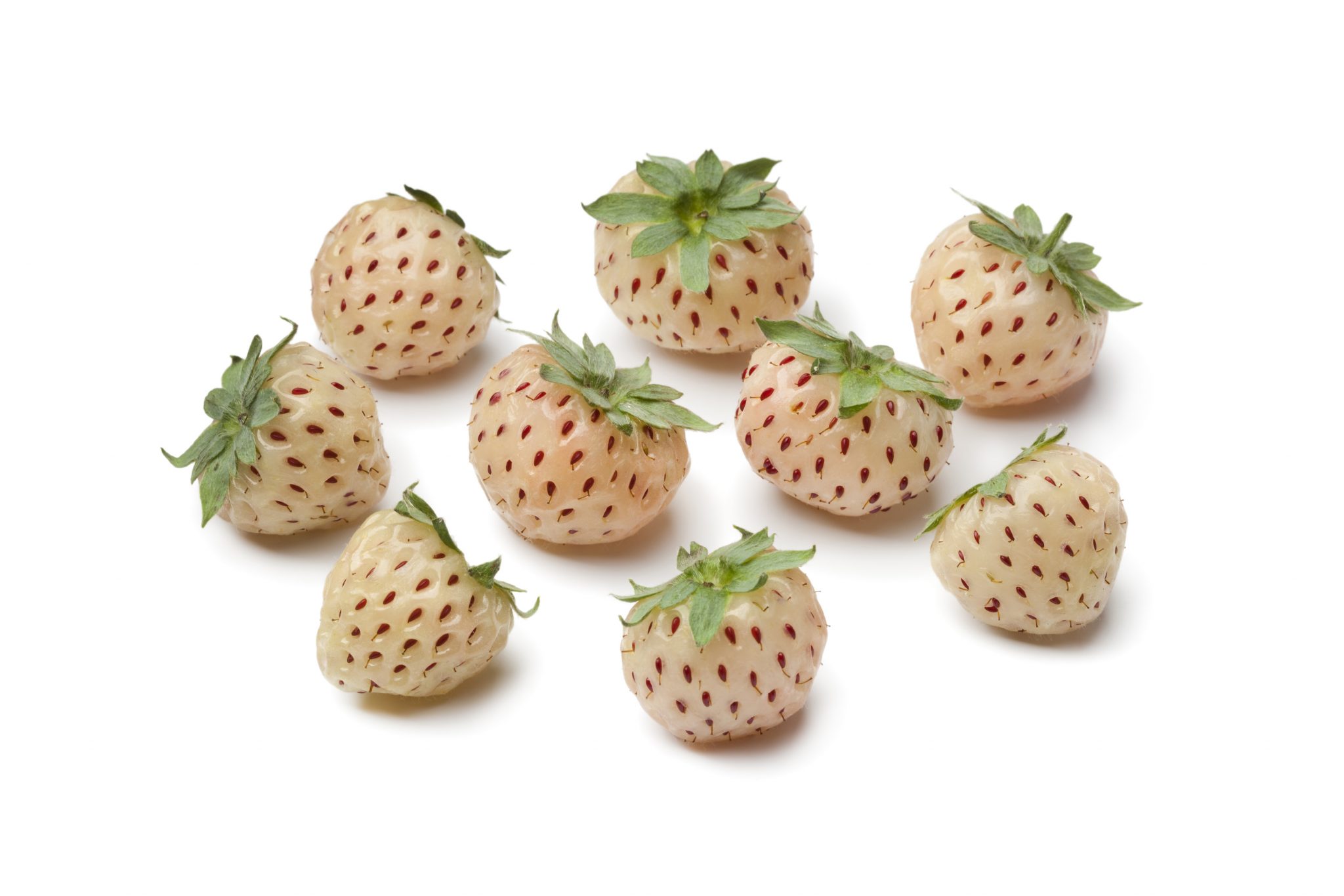 7 Surprising Health Benefits of Pineberries Blend of Bites