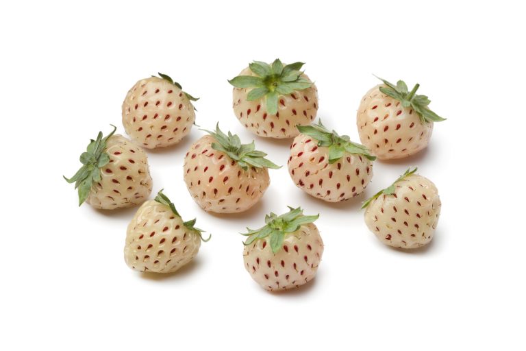 7 Surprising Health Benefits of Pineberries Blend of Bites