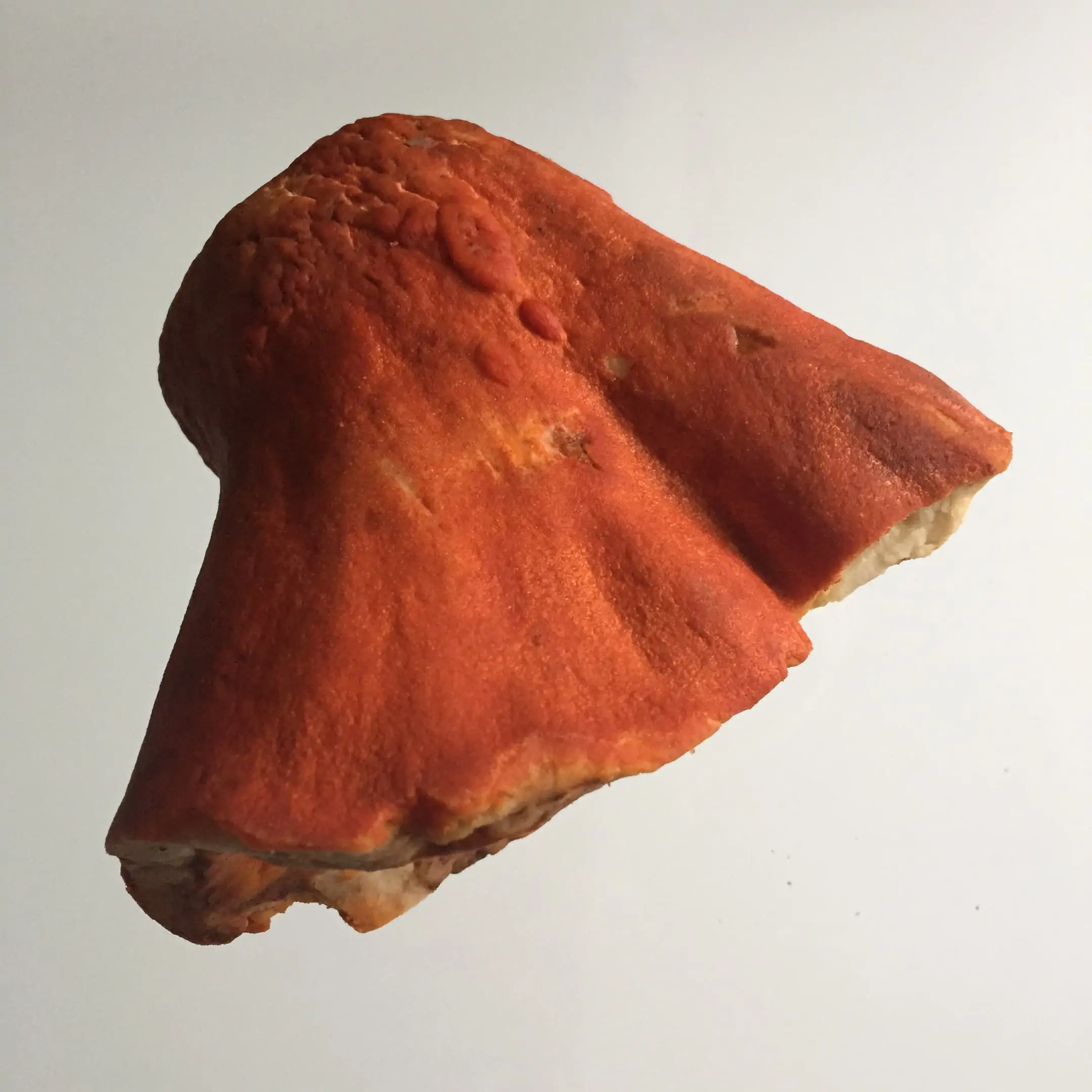 Lobster mushroom