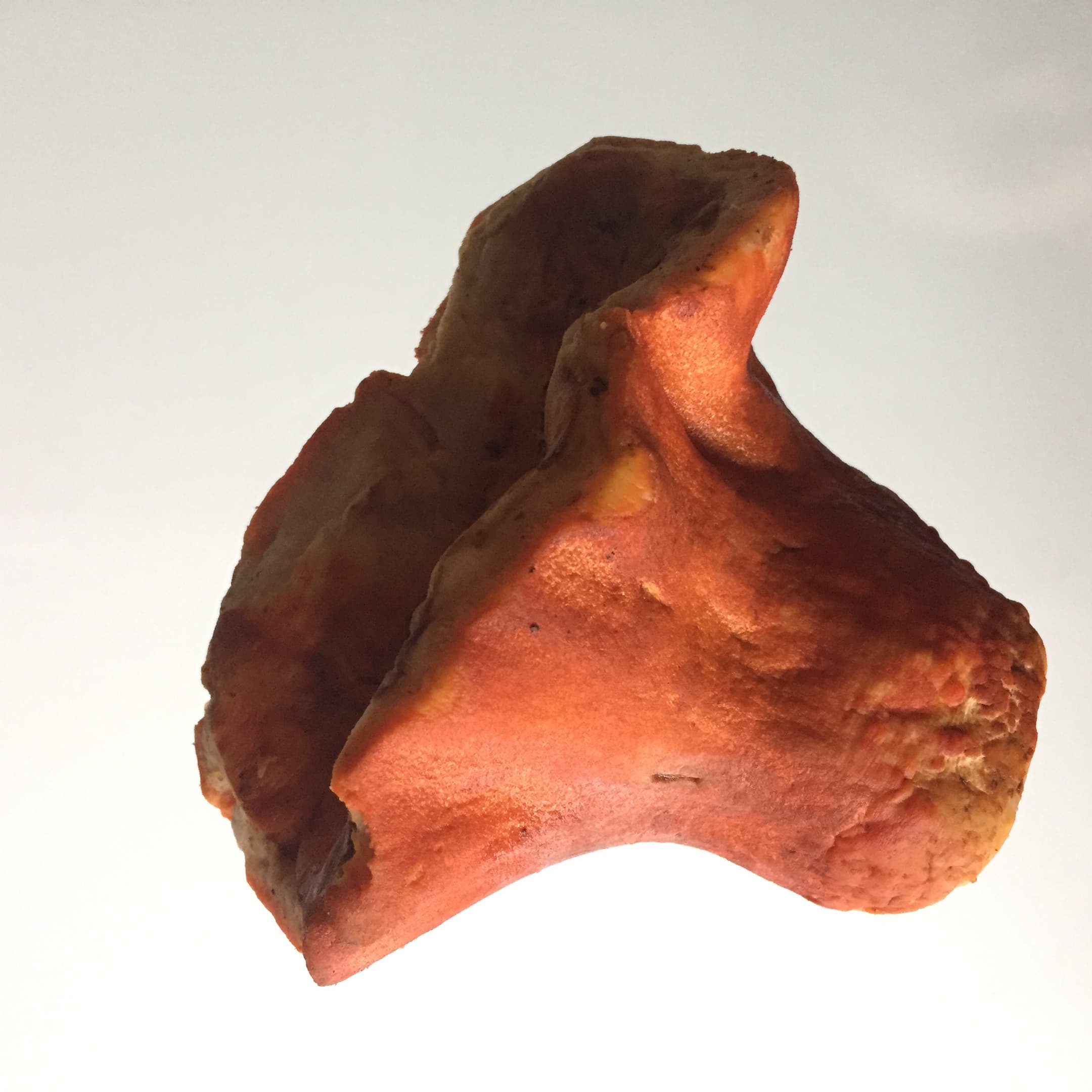 Lobster mushroom