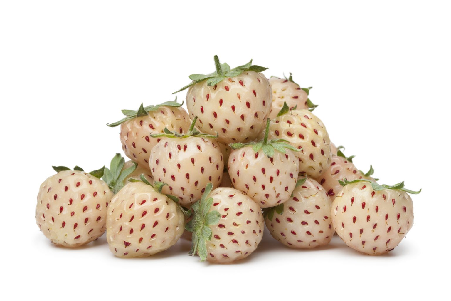 7 Surprising Health Benefits of Pineberries Blend of Bites