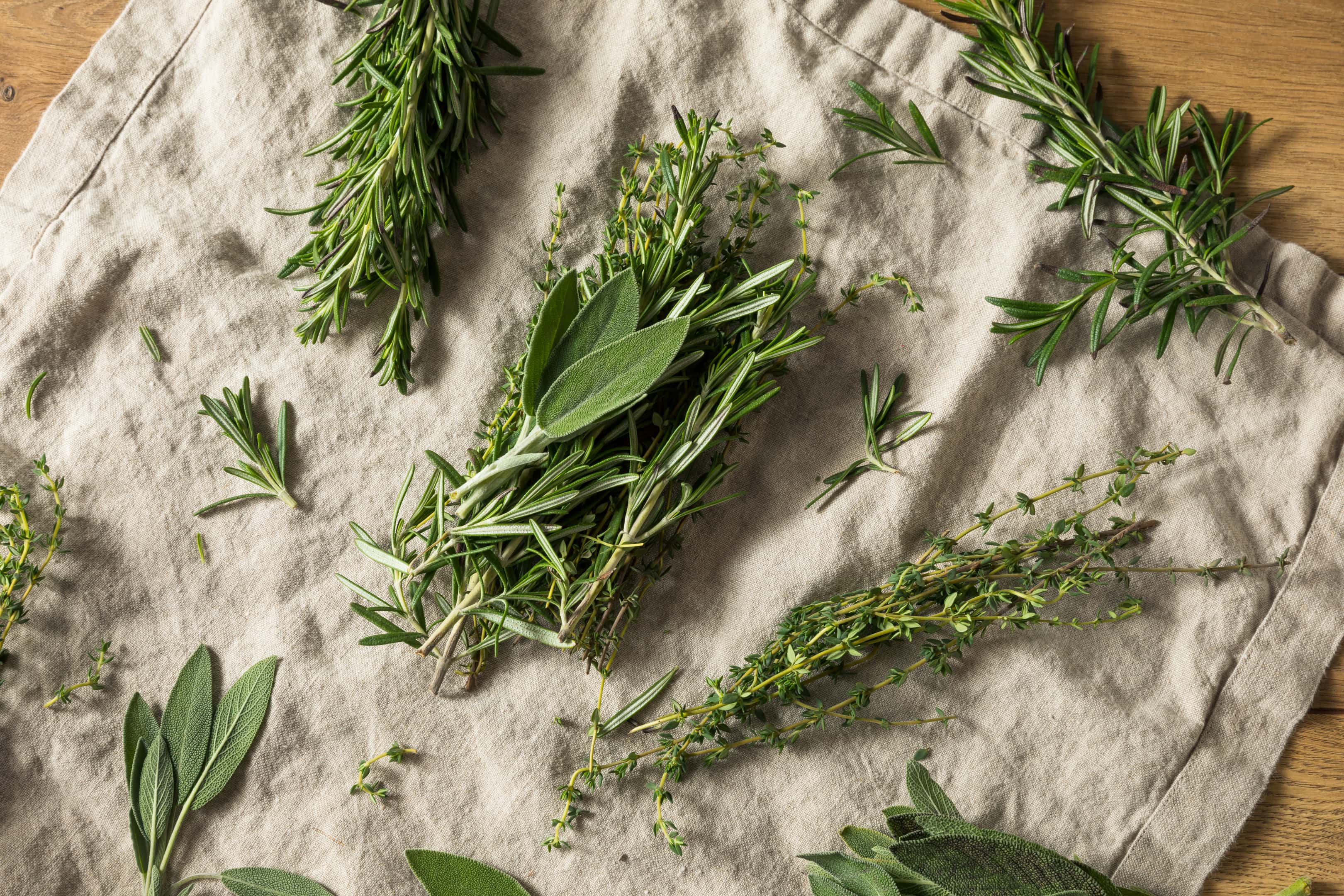 Raw green herbs: rosemary sage and thyme