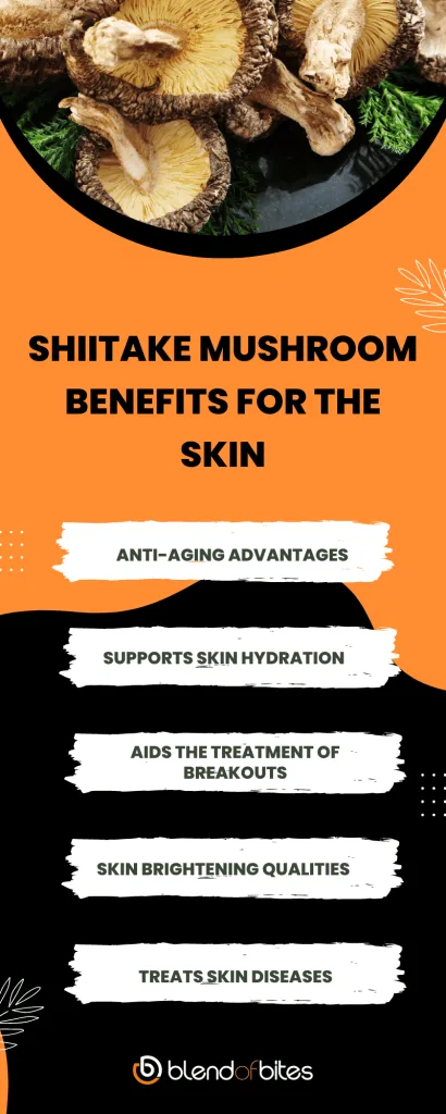 Shiitake mushroom benefits for skin infographic