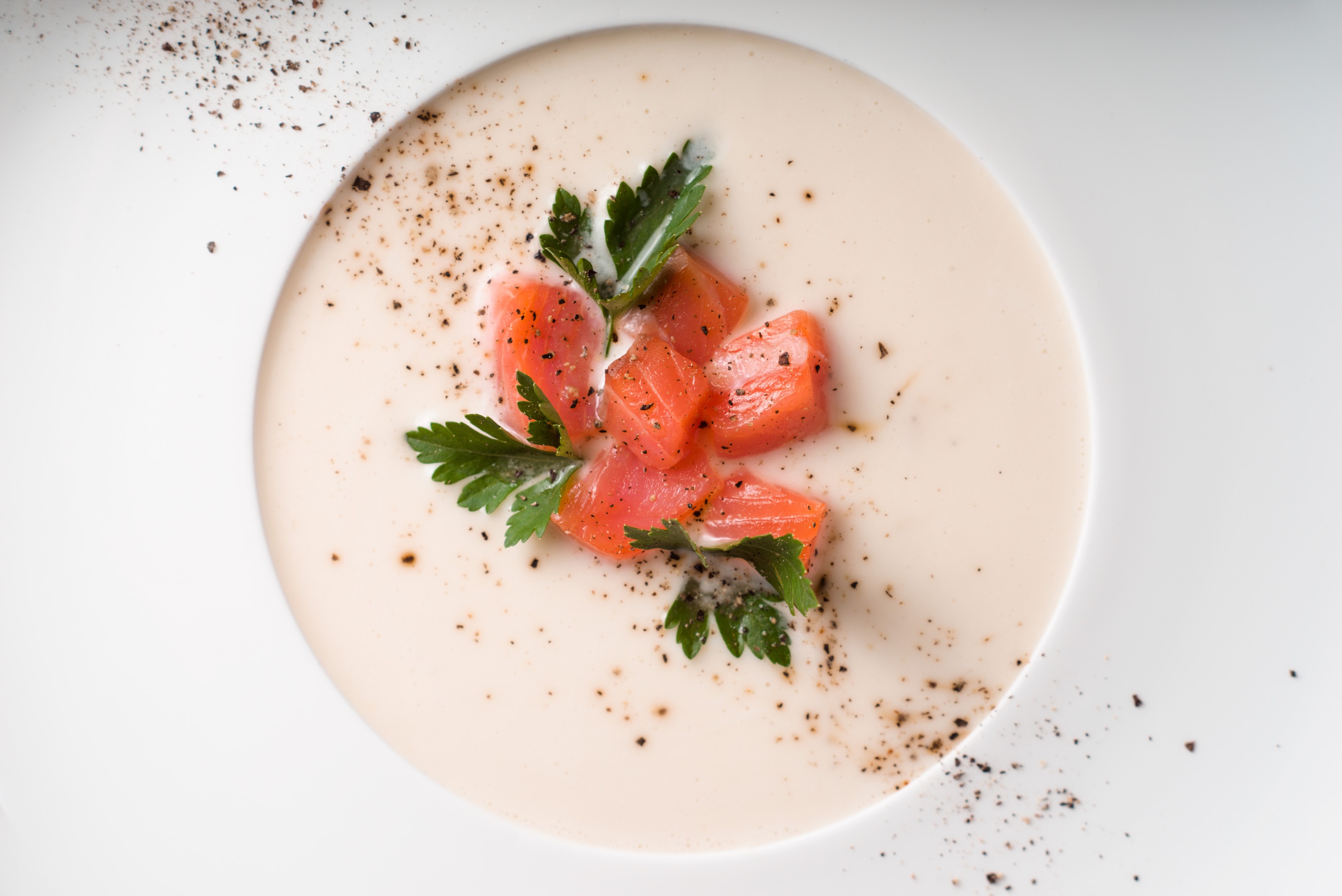 Soup puree from salmon in a porcelain dish