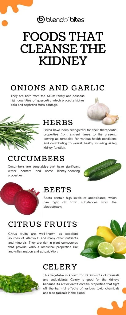 Infographic Foods for Kidney Cleansing