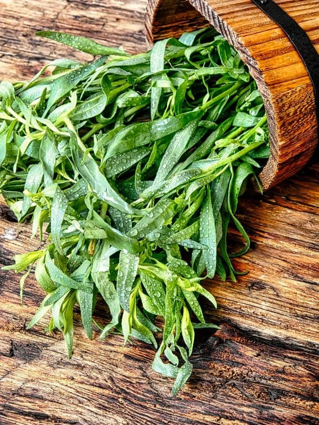 12 Tarragon Substitutes That Work as Well as the Herb Itself