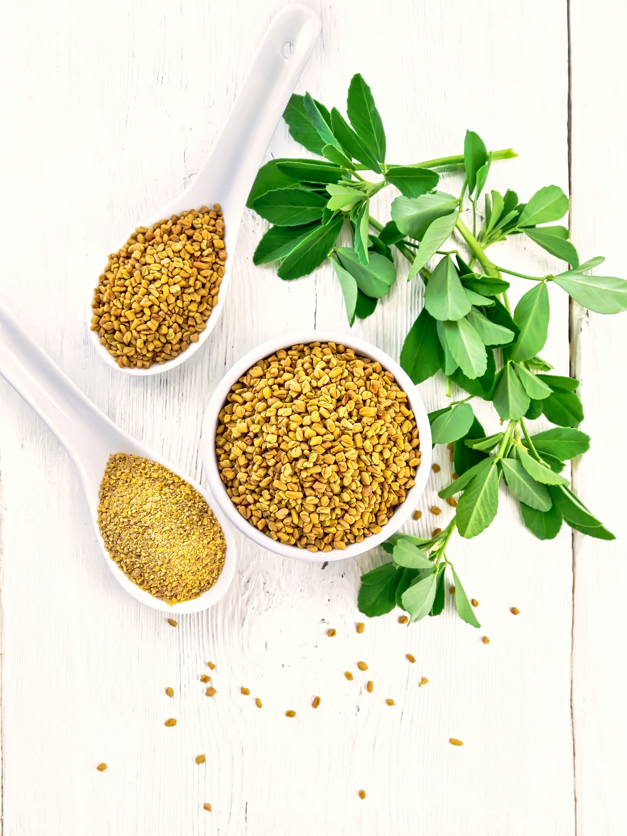 Fenugreek Guide: Health Benefits and Substitutes