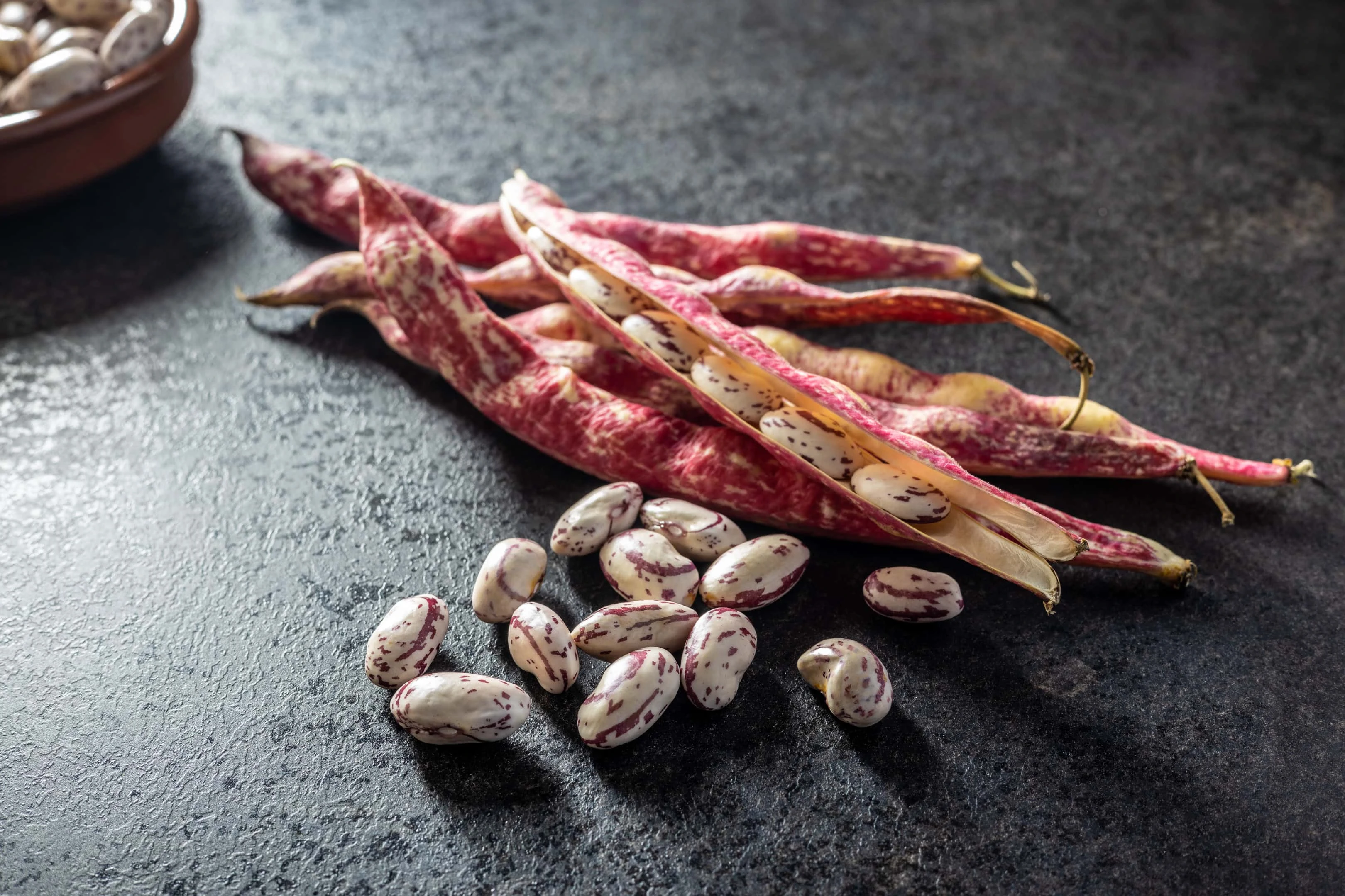 Cranberry beans — Borlotti beans and beans pods