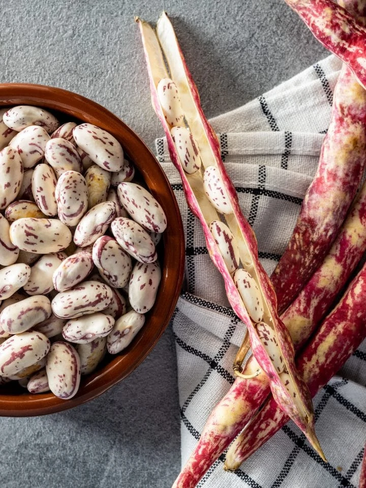 Cranberry beans — Borlotti beans in bowl and beans pods