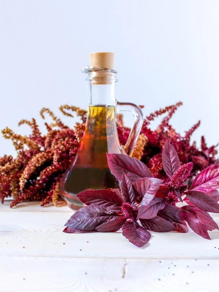 Branch of red amaranth with leaves, seeds, and amaranth oil
