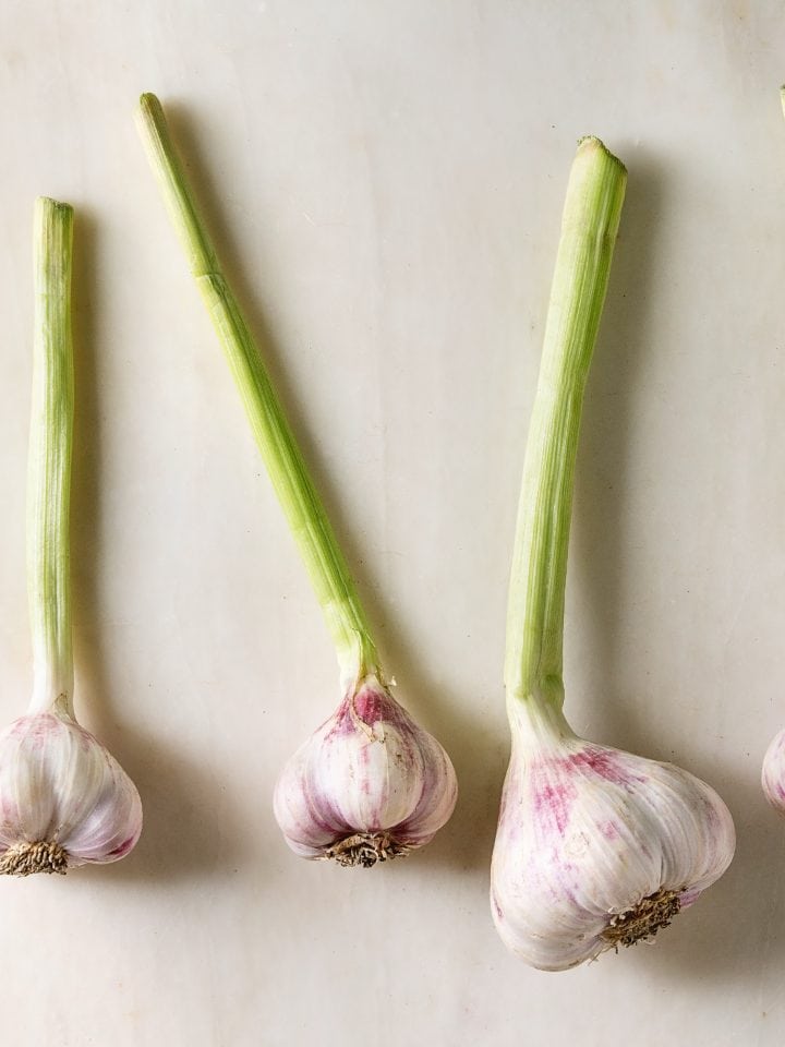 Bundles of young garden garlic