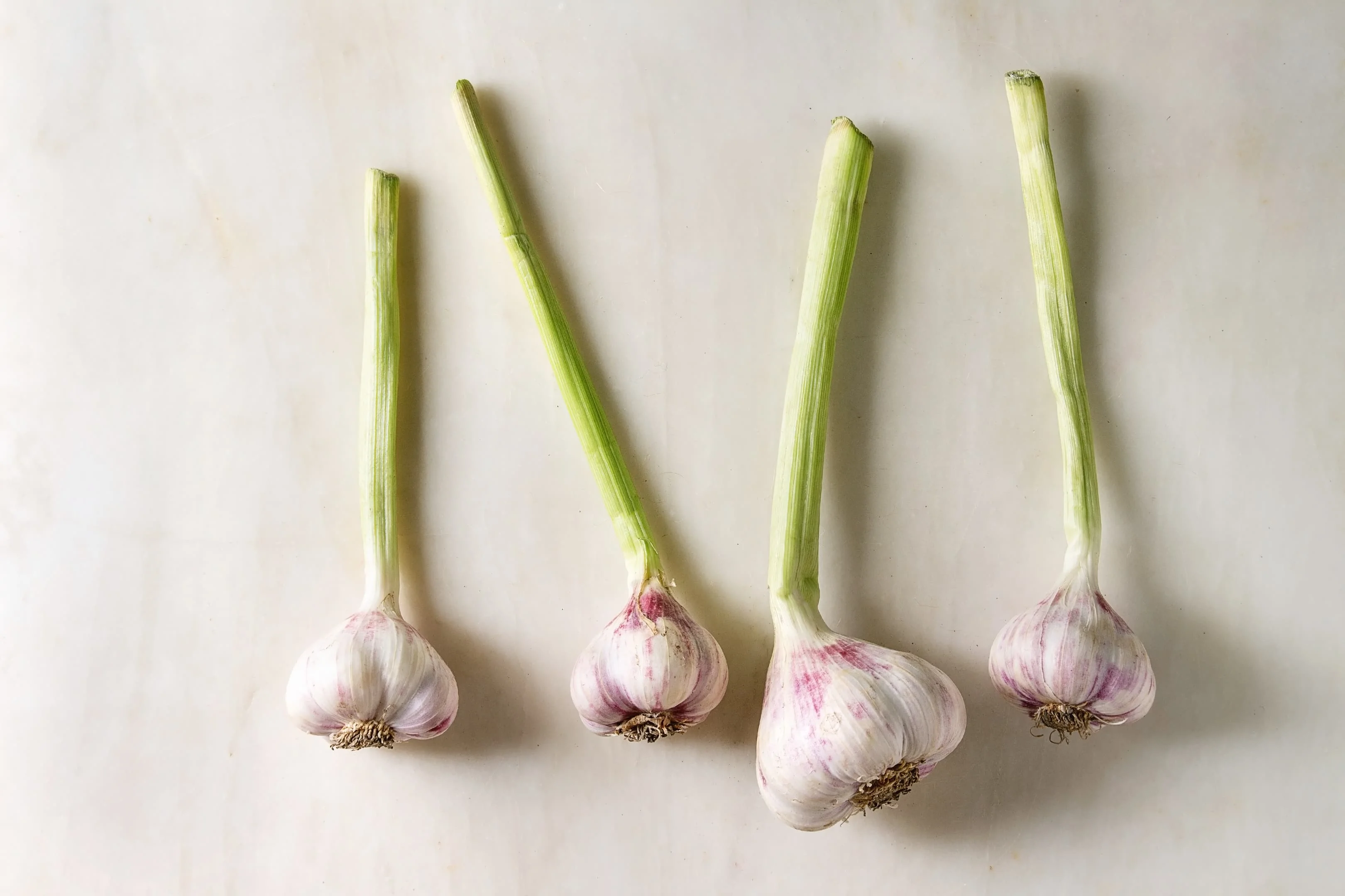 Bundles of young garden garlic, on out list of pungent foods.