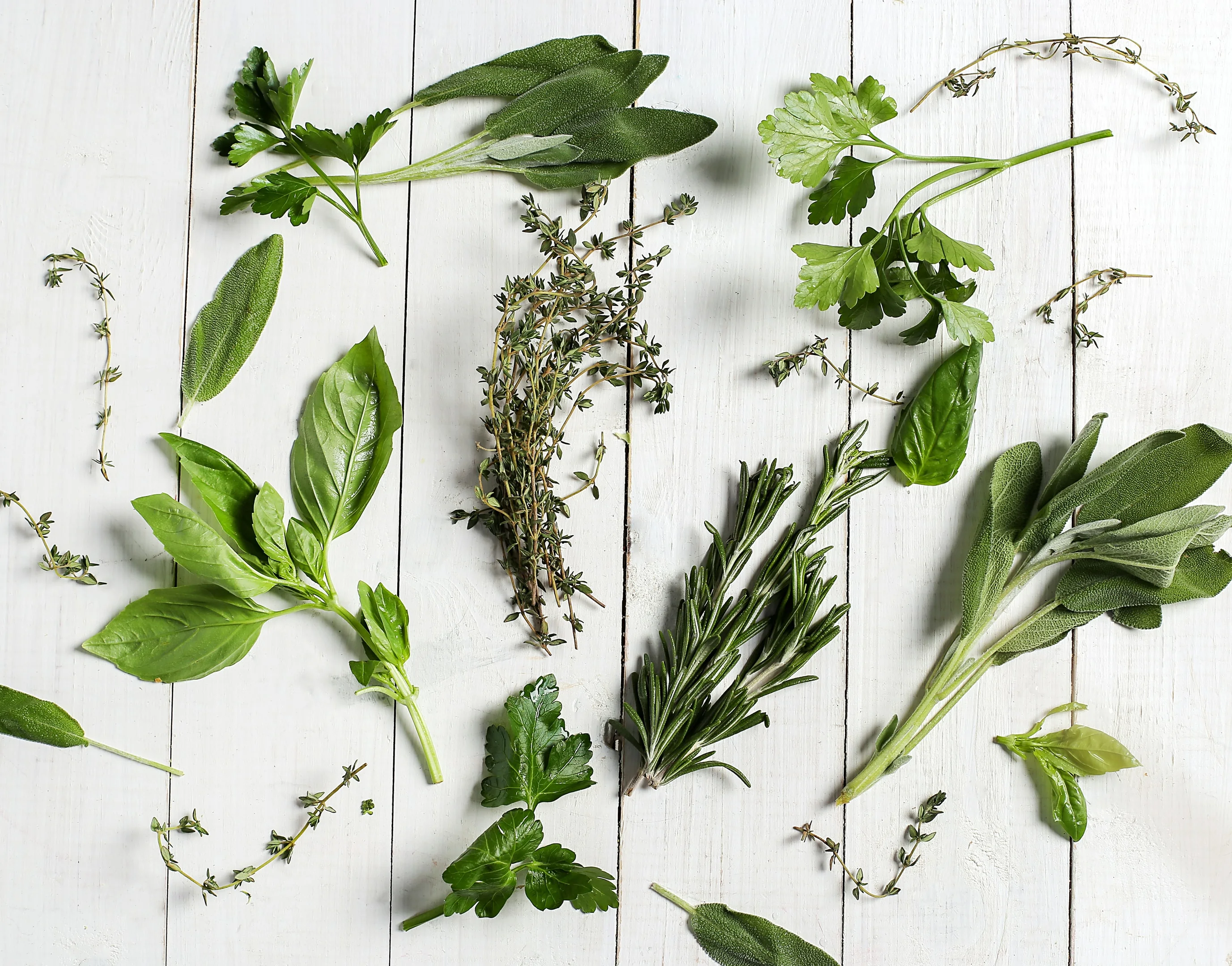 Culinary herbs on a table