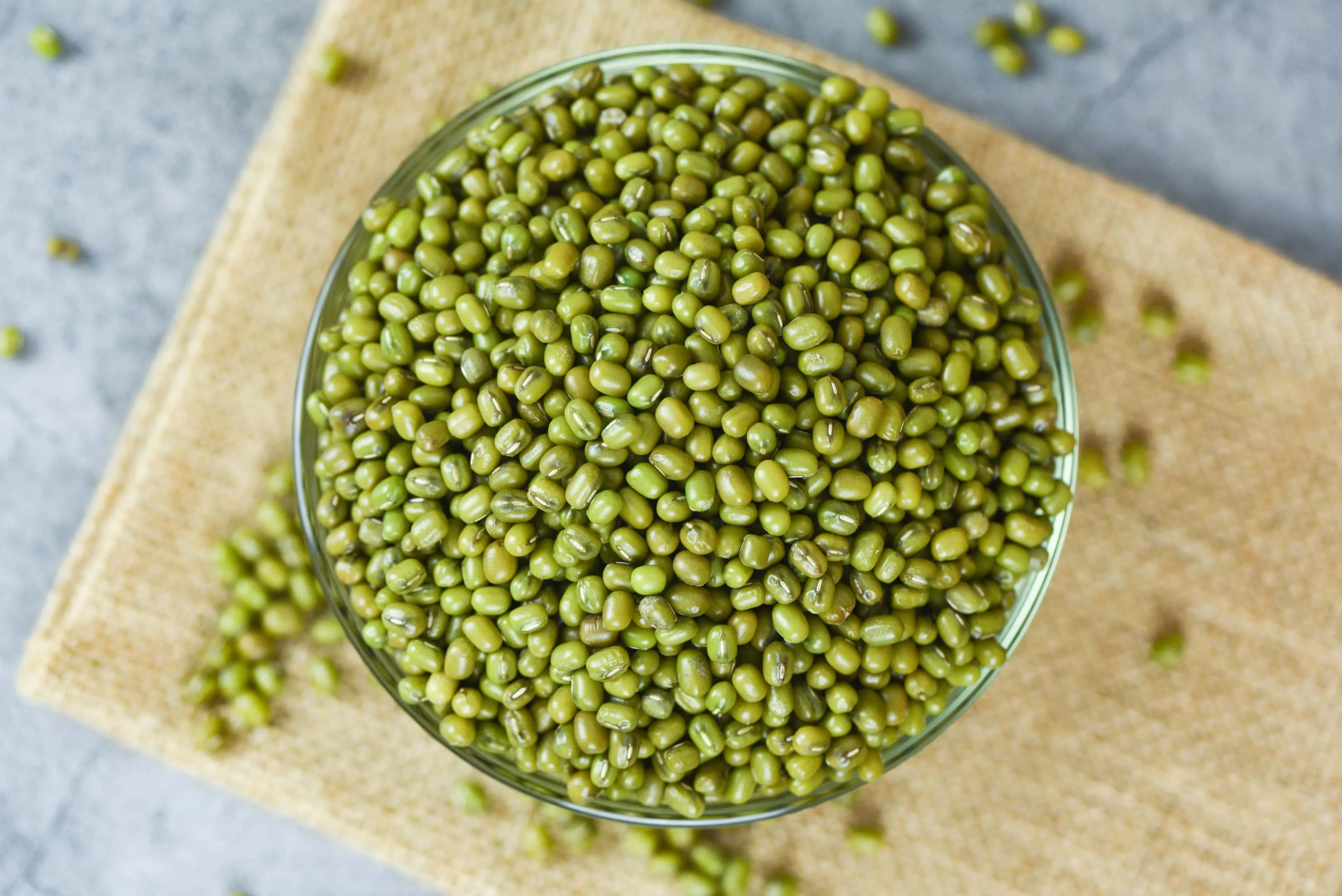 Green mung beans in a bowl on gray table