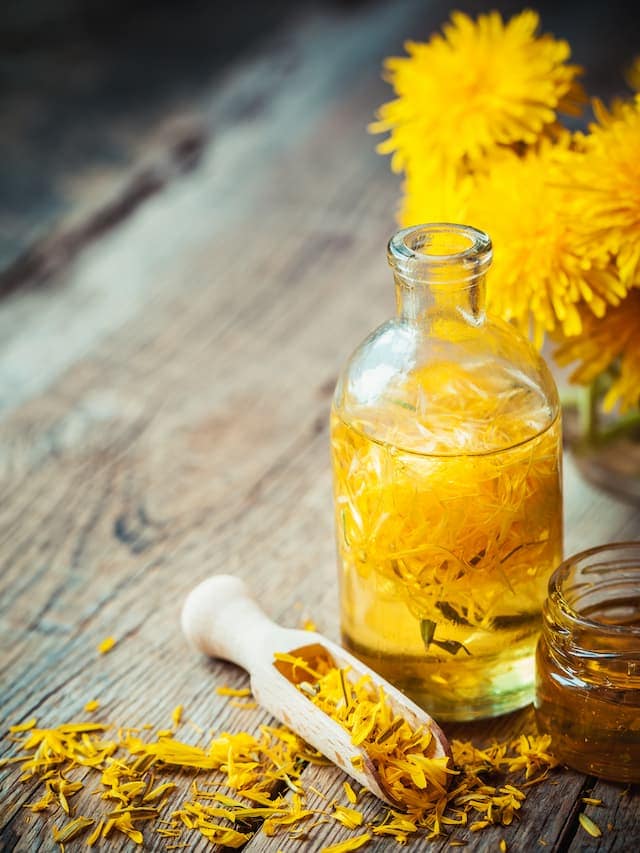 Dandelion Extract Recipe | How to Make Dandelion Tincture