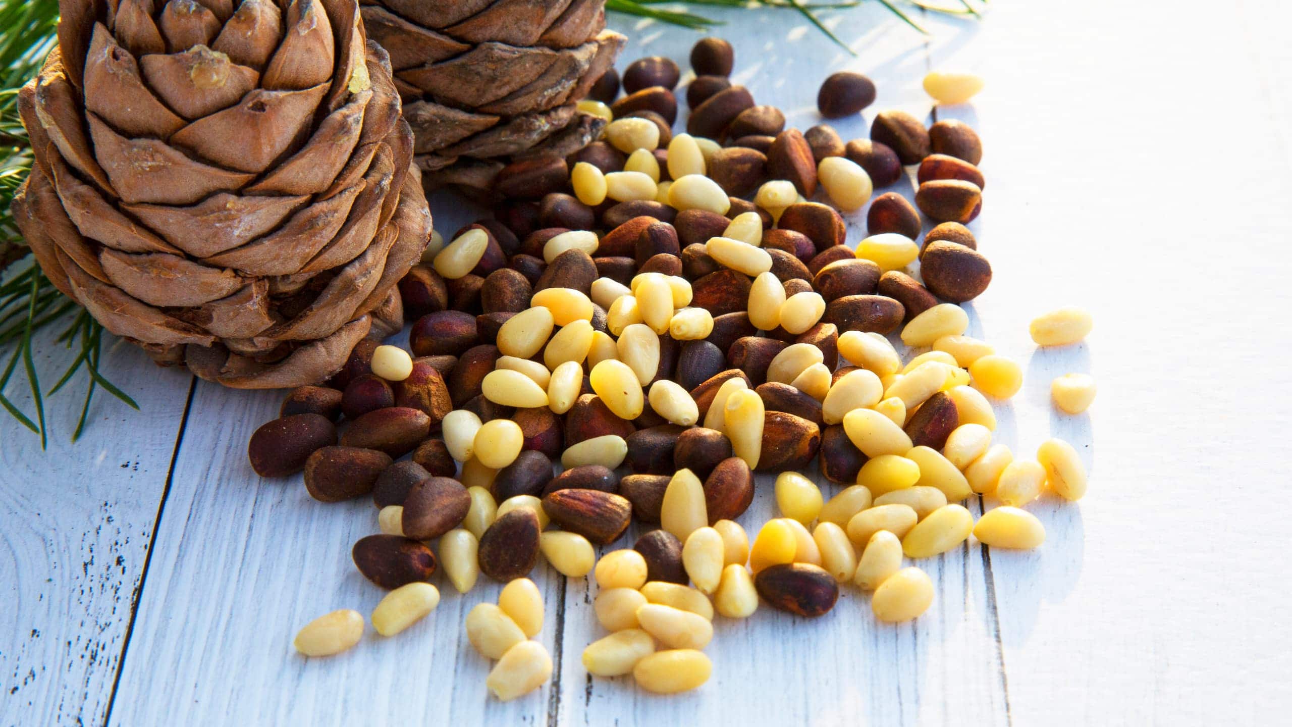 Stone pine nuts