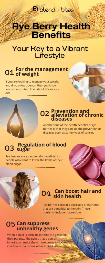 Rye berry health benefits infographic