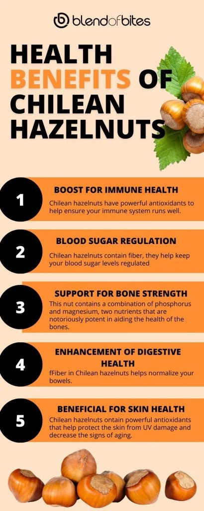 Chilean hazel health benefits infographic