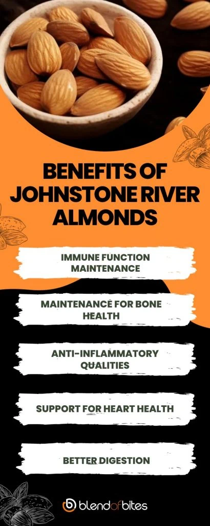 Johnstone river almond health benefits