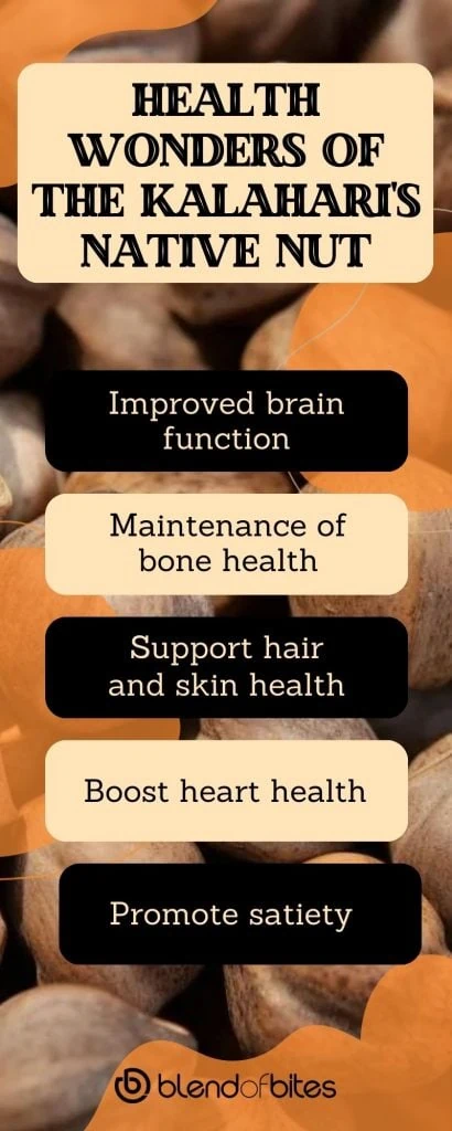 Mongongo health benefits infographic