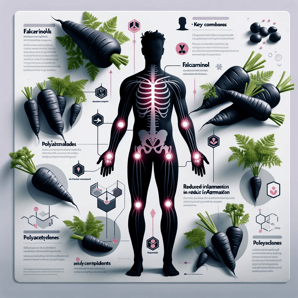 An infographic that illustrates the anti-inflammatory properties of black carrots, featuring a silhouette of a human body with highlighted areas