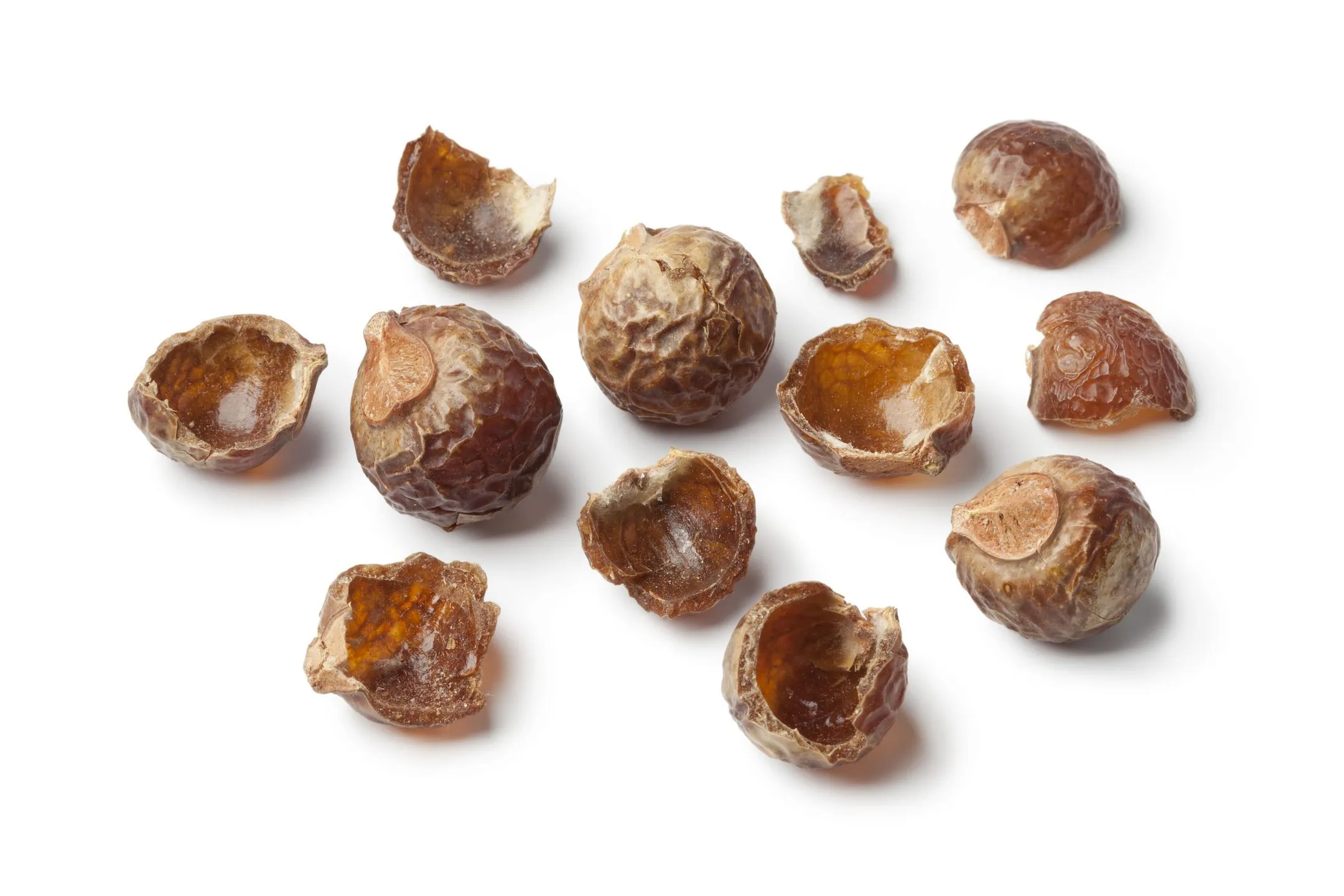 Nutshells of dried soapnuts
